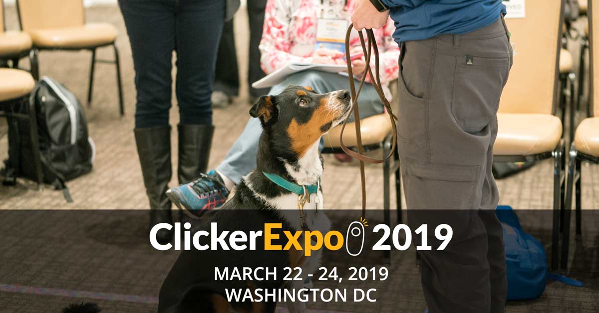 Washington D.C. ClickerExpo